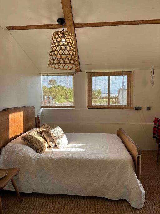 Cosy Cabane Boise Solaire, Balneo Bath Et Toilette Seche A La Ferme Mimizan-Plage Exteriör bild