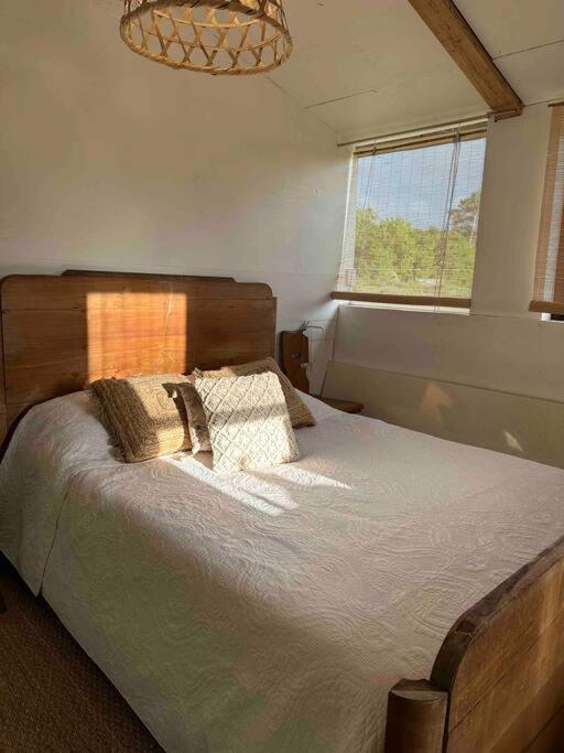 Cosy Cabane Boise Solaire, Balneo Bath Et Toilette Seche A La Ferme Mimizan-Plage Exteriör bild